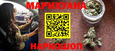 прущие грибы Будённовск