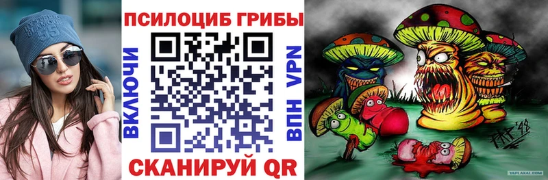 наркотики Киржач Псилоцибиновые грибы Magic Shrooms