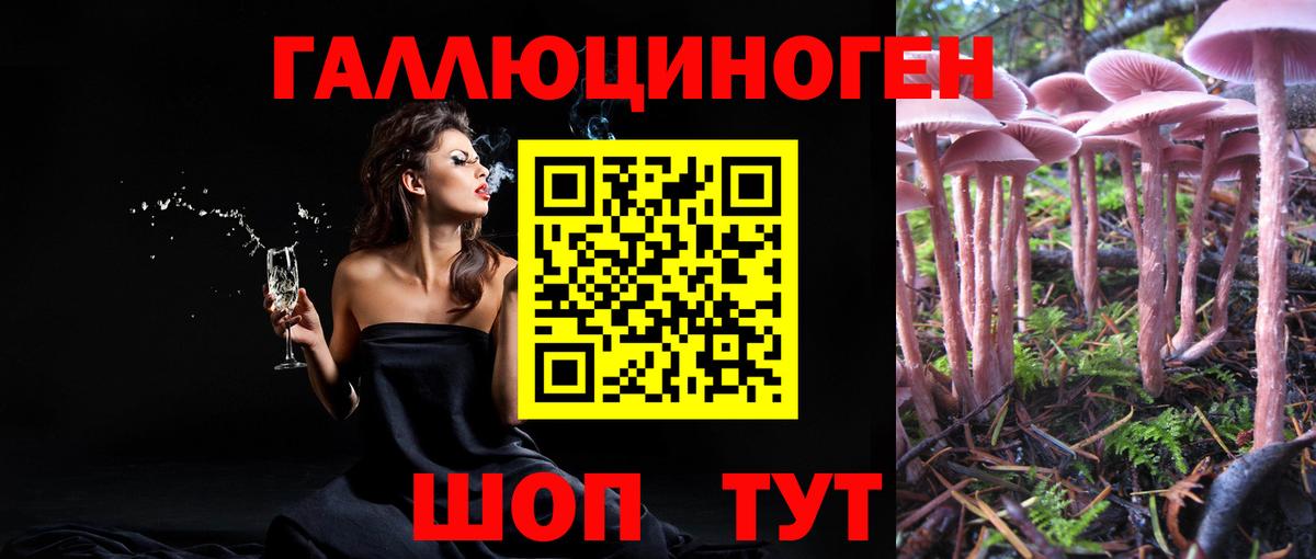 Киржач  цена   Псилоцибиновые грибы мухоморы  Вход с VPN  Псилоцибиновые грибы GOLDEN TEACHER 